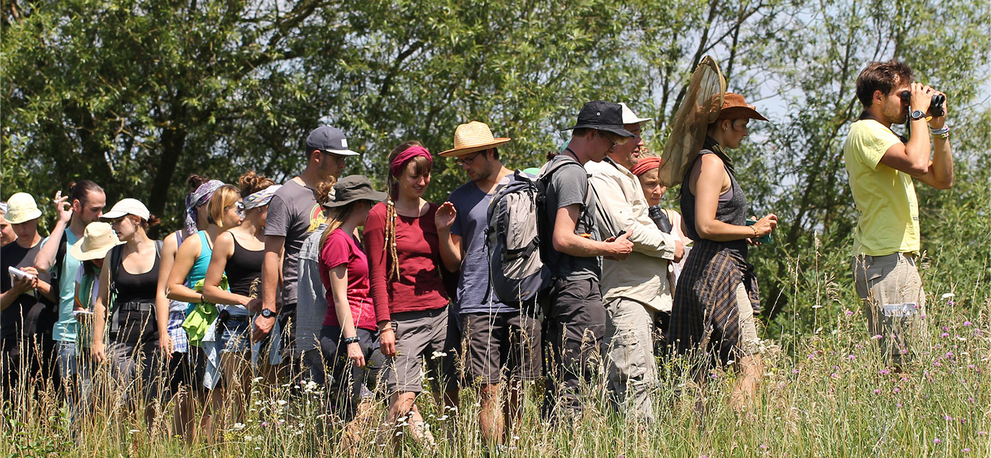 Gruppe junger Menschen läuft hintereinander mit Ferngläsern, Schmetterlingsnetzen und Notizblöcken durch hohes Gras.